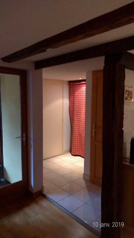 Appartement Au Charme Alsacien Kaysersberg-Vignoble Eksteriør bilde