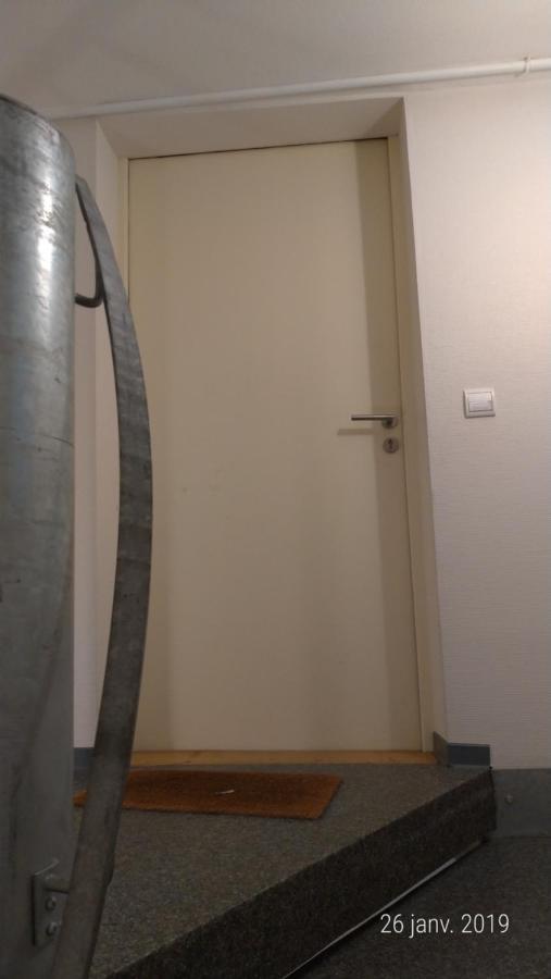 Appartement Au Charme Alsacien Kaysersberg-Vignoble Eksteriør bilde